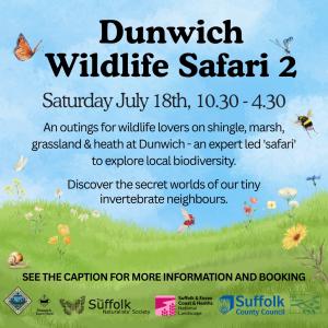 Copy of Wildlife Safari 1 insta1