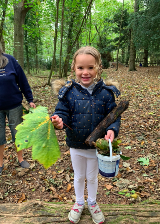 Collecting Leaves 2