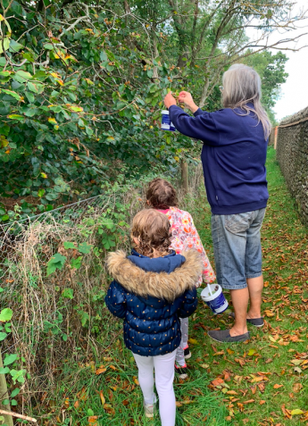 Collecting leaves 