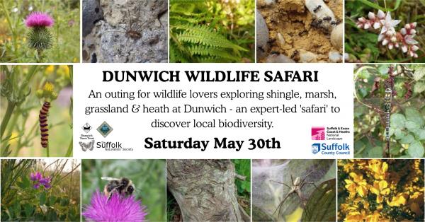 Wildlife Safari 3